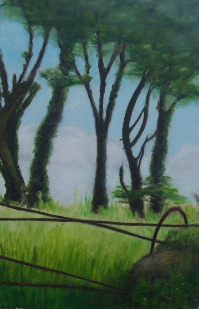 'The Great Island, County Cork'