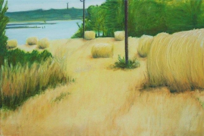 'The Great Island, County Cork'