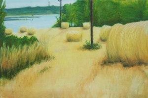 The Great Island, County Cork